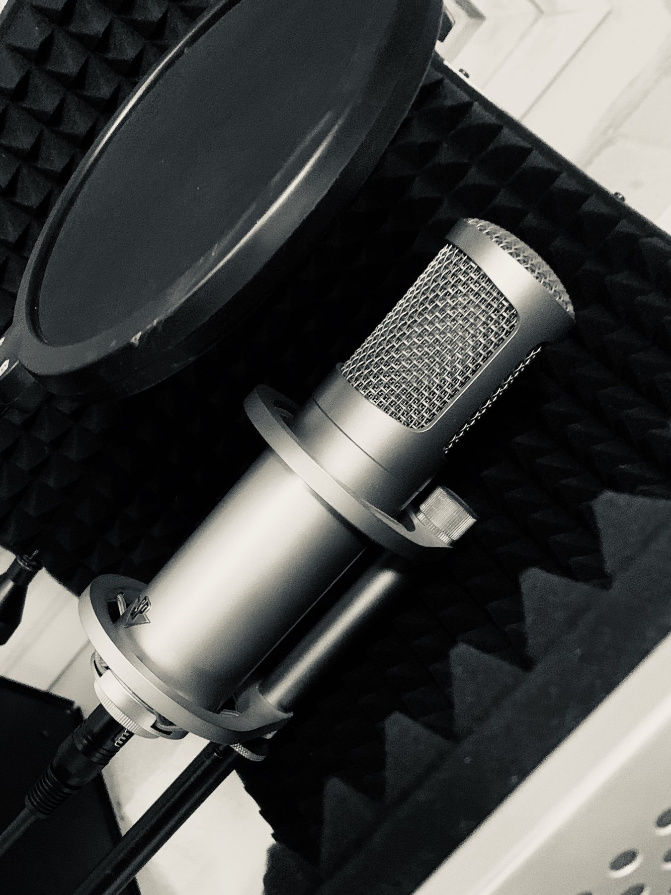 Create My Voice Reel studio microphone and pop shield